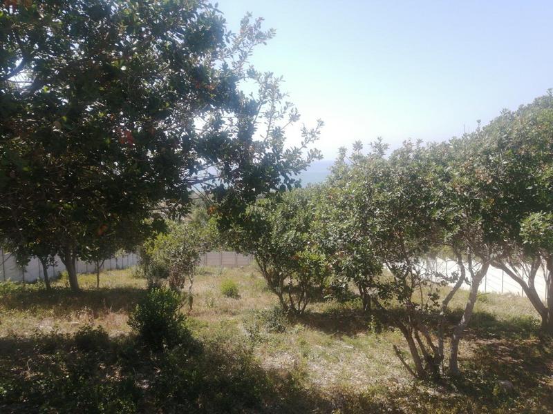 0 Bedroom Property for Sale in Tergniet Western Cape
